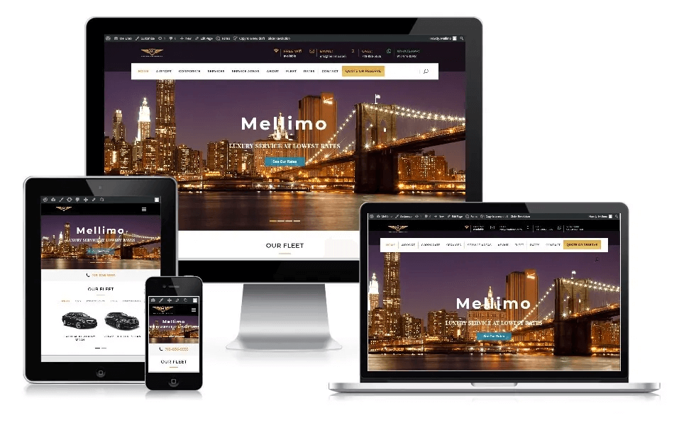 responsive web design for limousine company